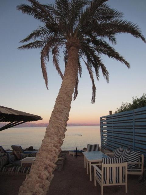 El Primo Hotel Νταχάμπ Εξωτερικό φωτογραφία